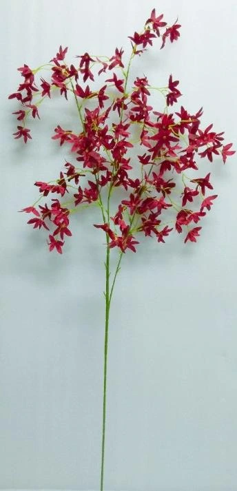 Flower Stick Tiny Star Orchid